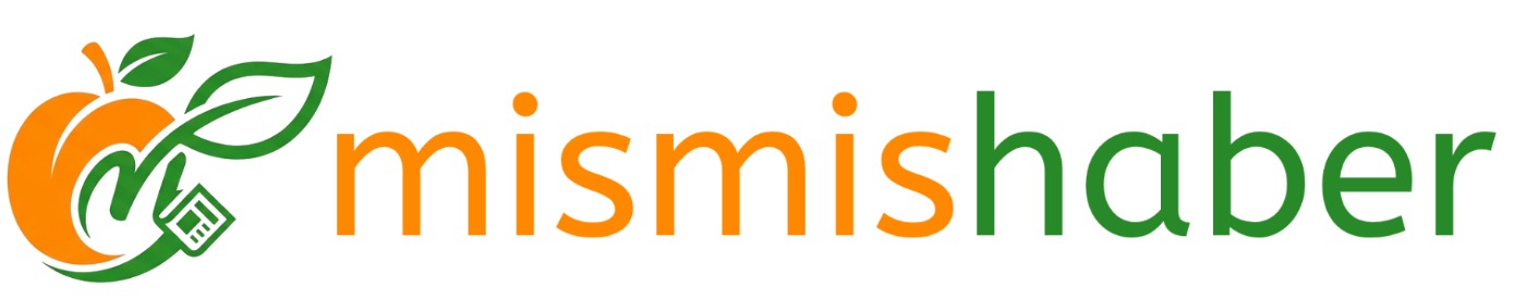 Mişmiş Haber